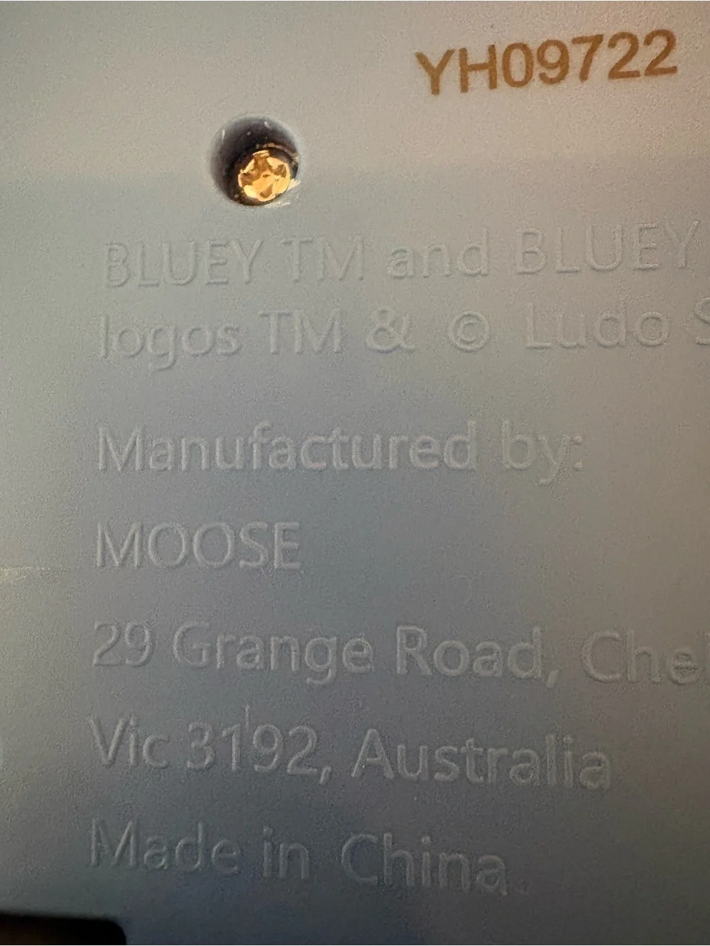 Bluey Bus